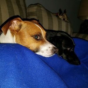 Meet your Posher, Jillian